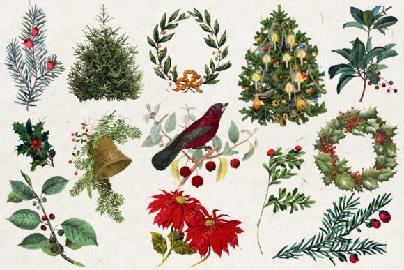 Vintage Christmas Greenery Clip Art Illustrations